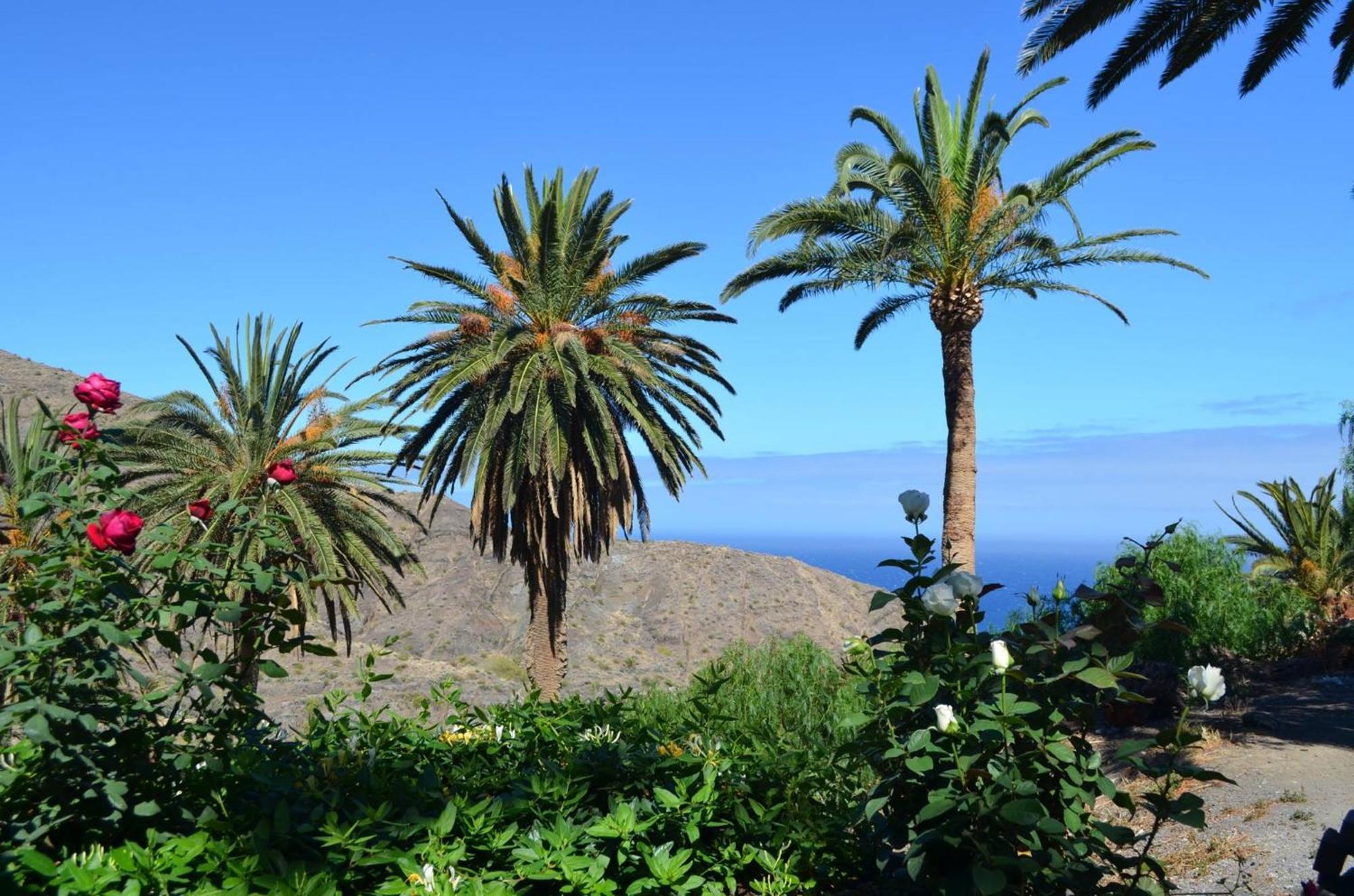 Finca Ossorio Casa Rita Vallehermoso Buitenkant foto